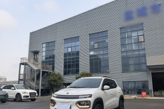 东风纳米 纳米BOX 2022款 轻风版 201KM 闪电型