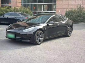 特斯拉 Model 3 2020款 标准续航后驱升级版