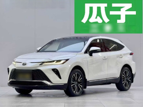 丰田 威飒 2023款 2.0L CVT两驱尊贵版