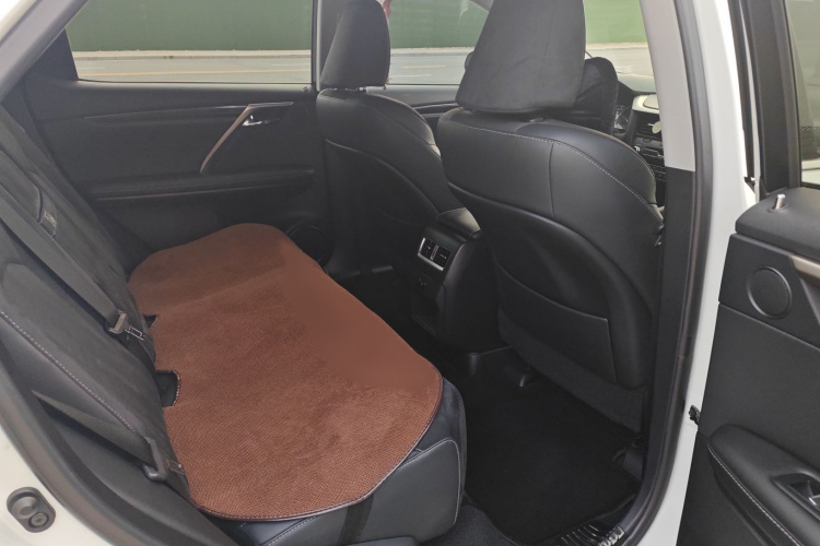 雷克萨斯RX 2016款 300 两驱精英版 国V局部细节9006