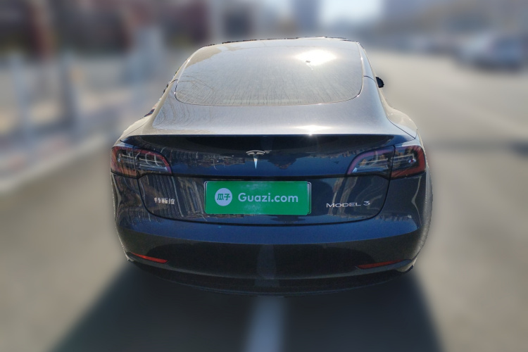 特斯拉 Model 3 2021款 标准续航后驱升级版车身外观6004