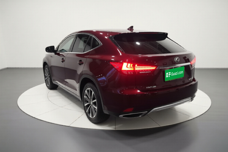 雷克萨斯RX 2020款 改款 300 两驱精英版车身外观5