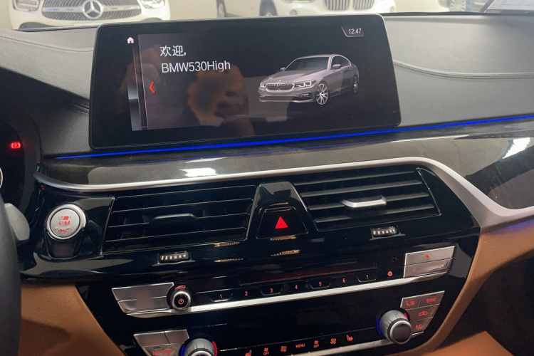 宝马5系 2018款 改款 530Li 领先型 M运动套装局部细节16