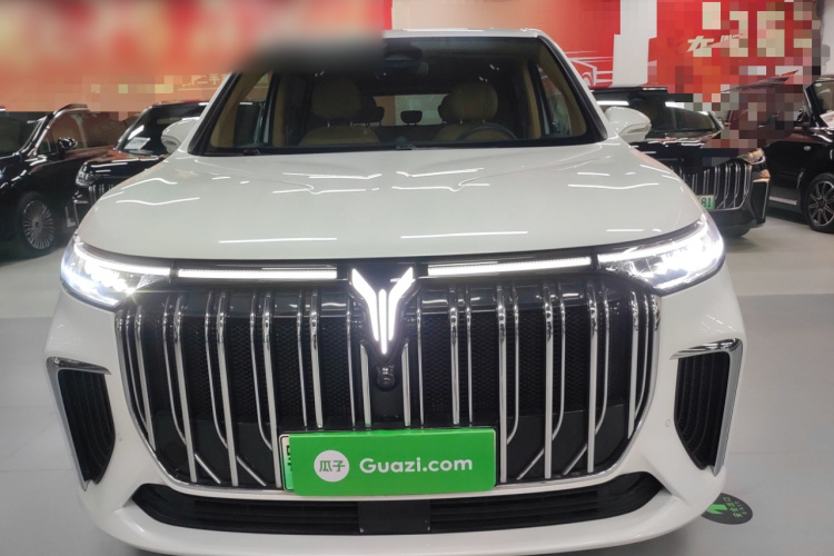 岚图汽车 岚图梦想家 2022款 低碳版 想+智驾包车身外观6001