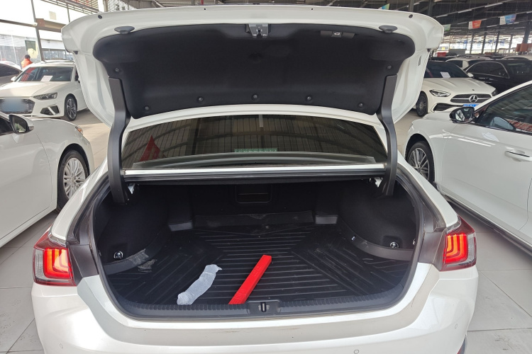 雷克萨斯ES 2020款 200 卓越版机舱底盘23