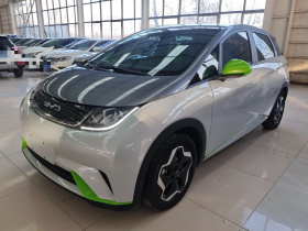 比亚迪 海豚 2021款 405km 时尚版