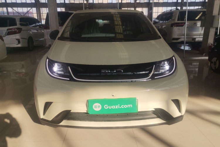 比亚迪 海豚 2025款 420km 自由版车身外观2