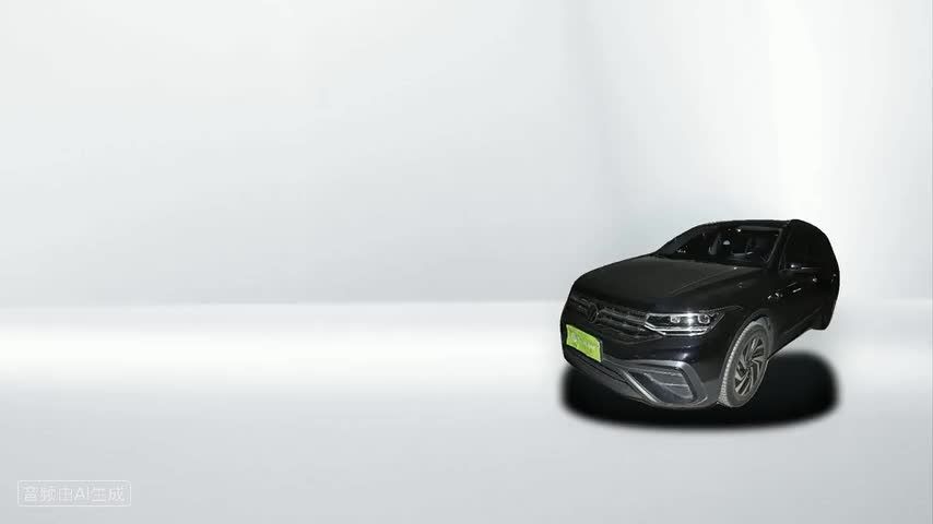 大众 途观L 2025款 出众款 300TSI 自动两驱龙腾版检测视频1