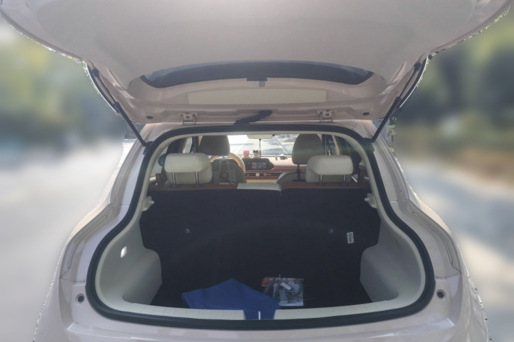 欧拉好猫 2023款 401km标准续航 豪华型 磷酸铁锂中控内饰23