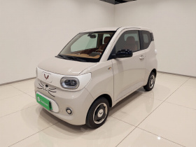 五菱汽车 宏光MINIEV 2024款 第三代 215km 青春版