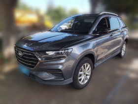 SWM斯威汽车 SWM斯威G01 2021款 2.0L 手动骑士版