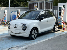 欧拉黑猫 2021款 301km 萌宠版