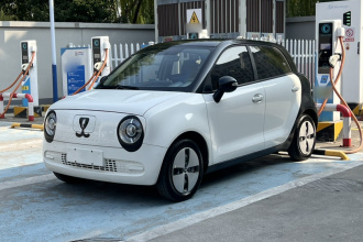 欧拉黑猫 2021款 301km 萌宠版