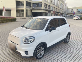 零跑汽车 零跑T03 2021款 400轻享版 三元锂