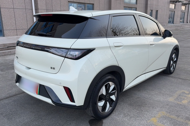 比亚迪 海豚 2025款 420km 时尚版车身外观6003