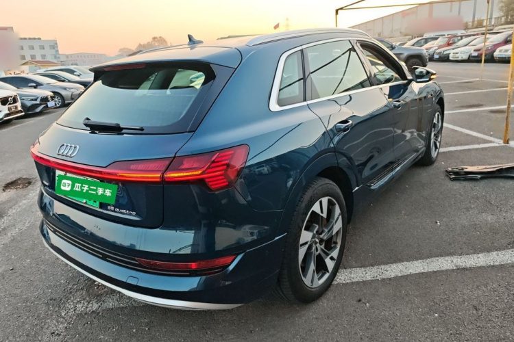 奥迪e-tron(进口) 2019款 55 quattro 技术型车身外观7