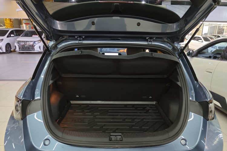 比亚迪 海豚 2025款 智驾版 420km 自由版局部细节23