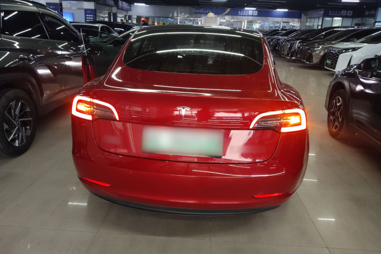 特斯拉 Model 3 2020款 标准续航后驱升级版车身外观6004