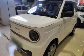 吉利银河 2023款 熊猫mini 200km 耐力熊