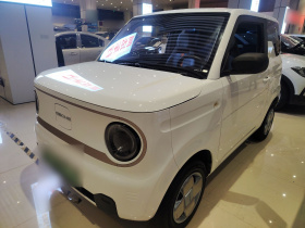 吉利银河 2023款 熊猫mini 200km 耐力熊