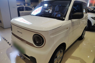 吉利银河 2023款 熊猫mini 200km 耐力熊