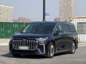 岚图汽车 岚图梦想家 2022款 低碳版 梦+智享包