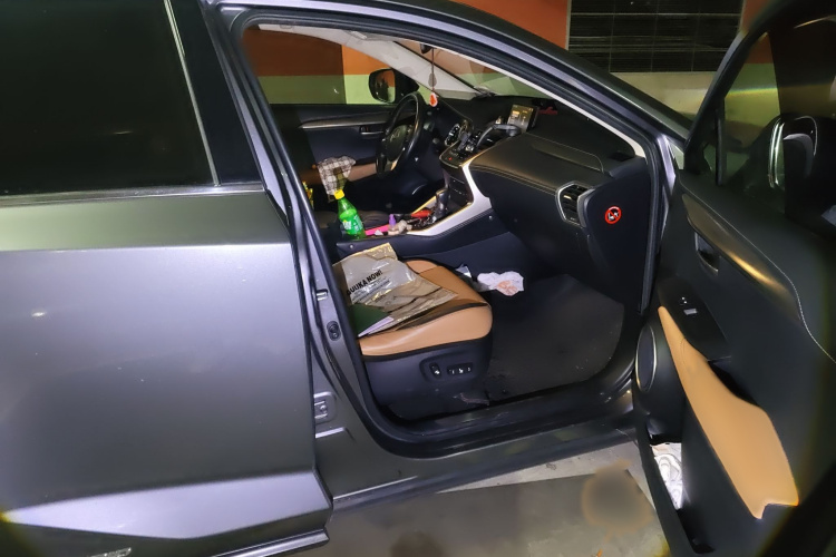 雷克萨斯NX 2015款 300h 前驱 锋尚版局部细节9005