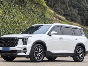 广汽传祺 传祺GS8 2022款 领航系列 2.0TGDI 四驱豪华智联版（七座）