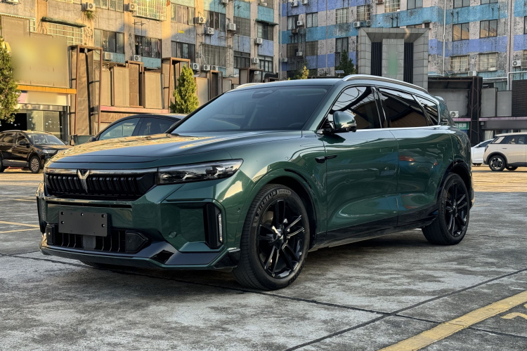 岚图汽车 岚图FREE 2024款 超长续航智驾版车身外观6001