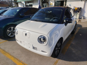 欧拉黑猫 2021款 351km 标准型