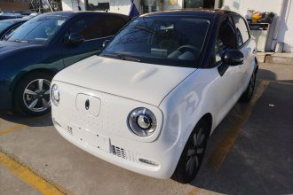 欧拉黑猫 2021款 351km 标准型