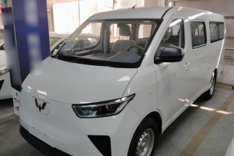 五菱汽车 五菱扬光 2024款 300KM 舒适型客车版 75kW