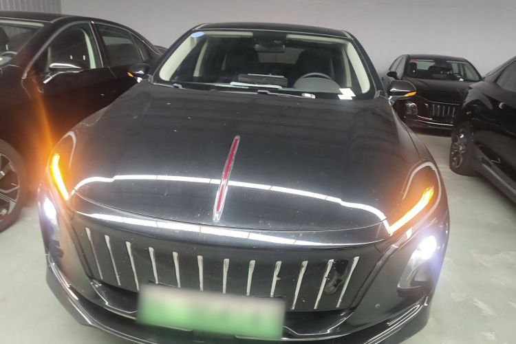 红旗E-QM5 2022款 431km 充电乐享版车身外观6001