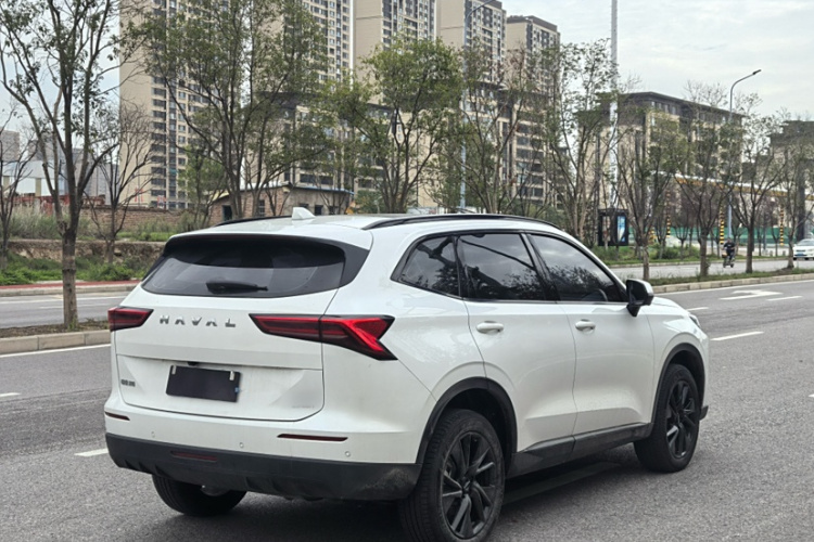 哈弗H6 2024款 2.0T 四驱Max车身外观6005
