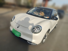 欧拉好猫 2021款 400km标准续航 维纳斯版 磷酸铁锂