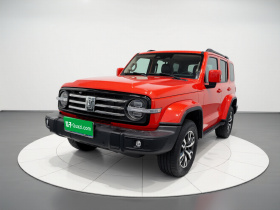 坦克300 2021款 城市版 2.0T 很有型