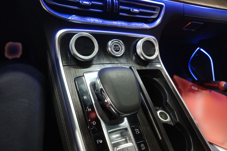 红旗H9 2022款 2.0T 智联旗畅版局部细节18