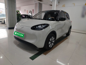 五菱汽车 五菱缤果 2025款 333km 悦享款