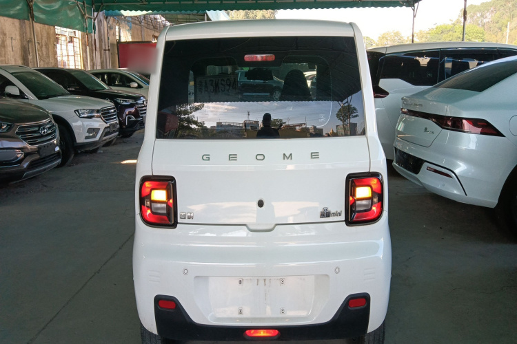 吉利银河 2024款 改款 熊猫mini 200km 龙腾版车身外观6