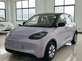 五菱汽车 五菱缤果 2025款 333km 悦享款