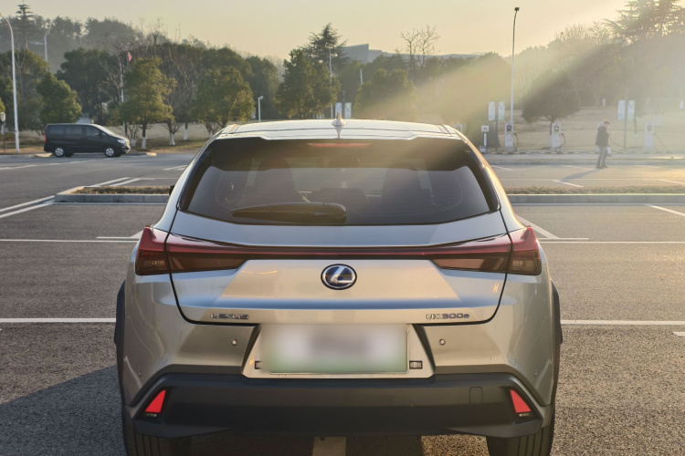 雷克萨斯UX新能源 2020款 300e 纯·悦版车身外观6004