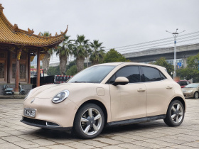 欧拉好猫 2023款 401km标准续航 豪华型 磷酸铁锂