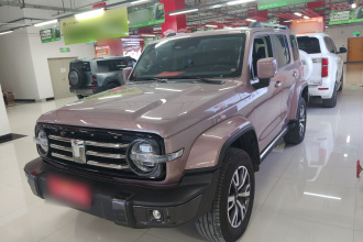 坦克300 2023款 城市版 2.0T 很有型