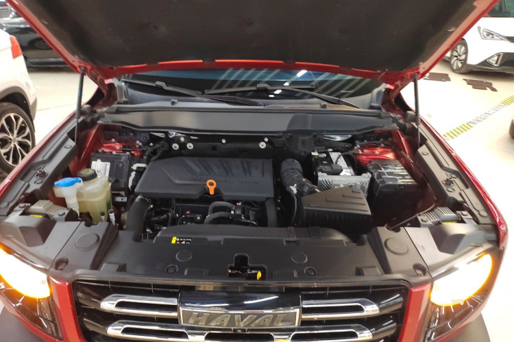 哈弗大狗 2021款 1.5T DCT两驱马犬版机舱底盘24