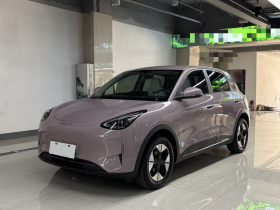 吉利银河 星愿 2025款 310km 梦想版