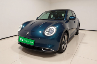 欧拉好猫 2021款 400km标准续航 维纳斯版 磷酸铁锂