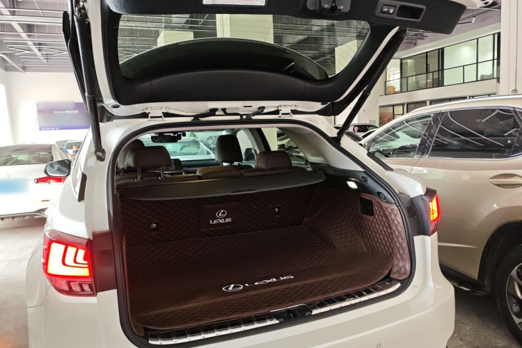 雷克萨斯RX 2020款 改款 300 两驱舒适版机舱底盘23