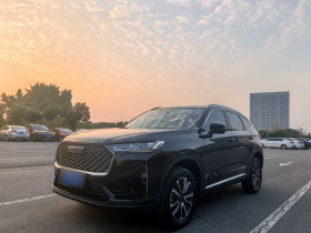 哈弗H6 2024款 1.5T 两驱经典版