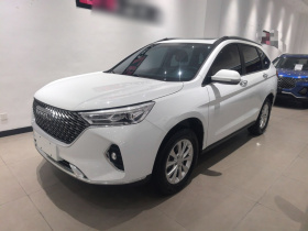 哈弗M6 2023款 PLUS 1.5T DCT豪华智联型