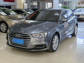奥迪A3 2020款 改款 Sportback 35 TFSI 进取型 国VI
